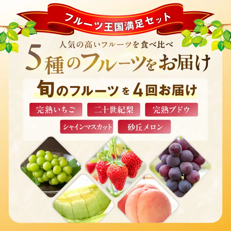 【先行予約／フルーツ定期便4回】旬の果物厳選！京丹後フルーツ王国満足セット（完熟イチゴ・メロン・完熟ブドウ＆シャインマスカット食べ比べ・二十世紀梨）（2027年2月中旬～発送）