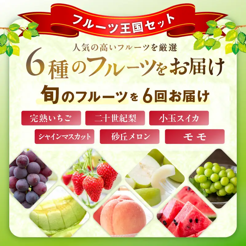 【先行予約／フルーツ定期便6回】旬の果物厳選！京丹後フルーツ王国セット（完熟イチゴ・小玉スイカ・桃・メロン・シャインマスカット・二十世紀梨）（2027年2月中旬～発送）