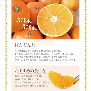 【2026年12月中旬から順次発送】 紅まどんな (愛媛県産) 約1.5kg (5～8玉入り) ミニ化粧箱入り 青秀 | まどんな べにまどんな ベニマドンナ 紅マドンナ 愛媛県産 フツール 果物 くだもの 柑橘 贈答 ギフト 期間限定 ギフト プレゼント 高級柑橘 美味しい 紅まどんな フルーツ 愛媛 松山 送料無料 【SHM012】