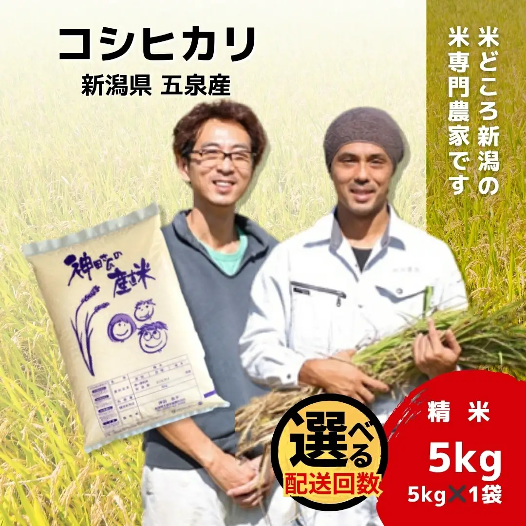 【先行予約】令和8年産米【6回定期便】わくわく農場のコシヒカリ 5kg | コシヒカリ 白米 米 新潟県産 五泉市
