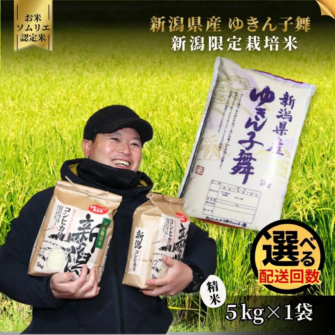 【先行予約】令和8年産米〈6回定期便〉ゆきん子舞 5kg | 新潟県 ゆきん子舞
