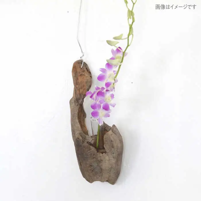 Driftwood FlowerBase 流木一輪挿し フラワーベース 糸島市 / WOOD'ARBRE(ウッドラヴル)【TIME】 インテリア 雑貨 一輪挿し [ADC003]