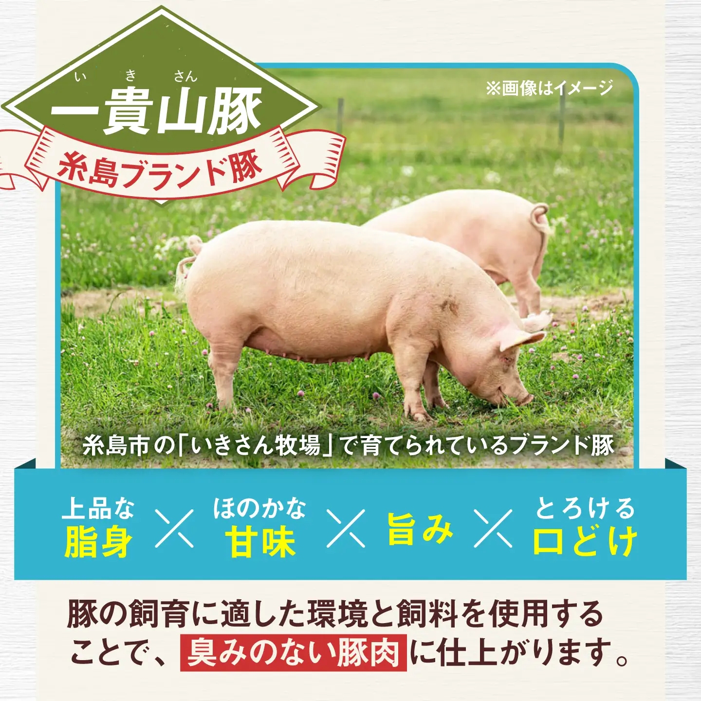 一貴山豚 精肉バラエティセット 計1980g 糸島市 / いきさん牧場 豚肉 冷凍 [AGB065]