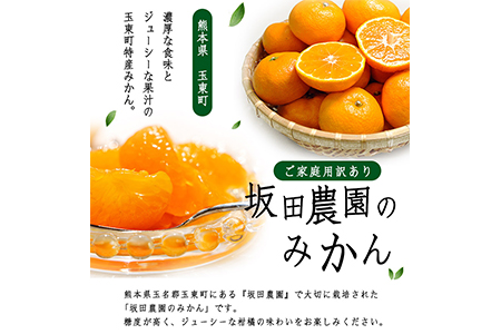 みかん ご家庭用 約10kg 坂田農園 みかん