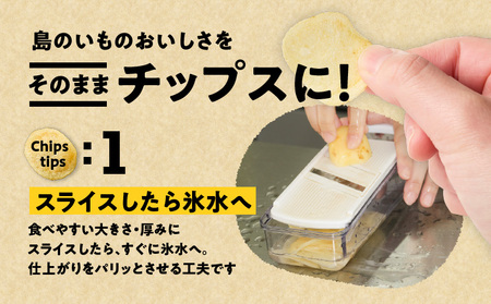 erabu chips（塩）2箱セット C068-001-02 ポテトチップス 菓子 お菓子 アレルゲンフリー