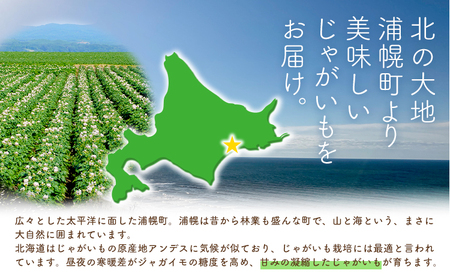 インカのめざめ 10kg じゃがいも 飯山農場《9月中旬-3月上旬頃出荷》芋 ジャガイモ 野菜 送料無料 北海道 浦幌町 