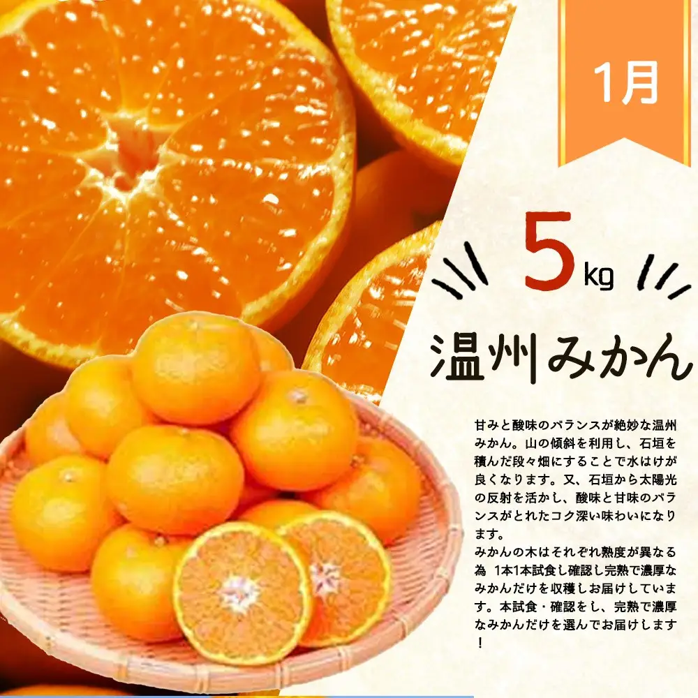 【全3回】紀州和歌山産旬の柑橘定期便(みかん・不知火・せとか)【tkb382】