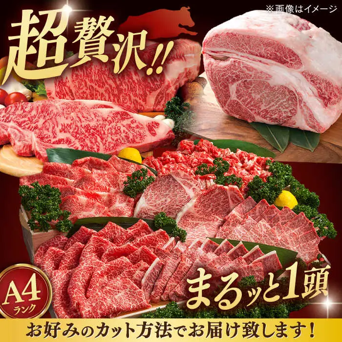 【一頭丸ごと】 博多和牛 オーダーカット セット  [ADAQ099] 牛 牛肉 定期便