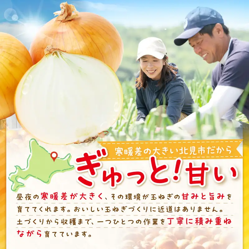 【予約：2026年9月下旬から順次発送】いとう農園の玉ねぎ 10kg ( 玉葱 タマネギ 野菜 期間限定 数量限定 10キロ )【181-0002-2026】