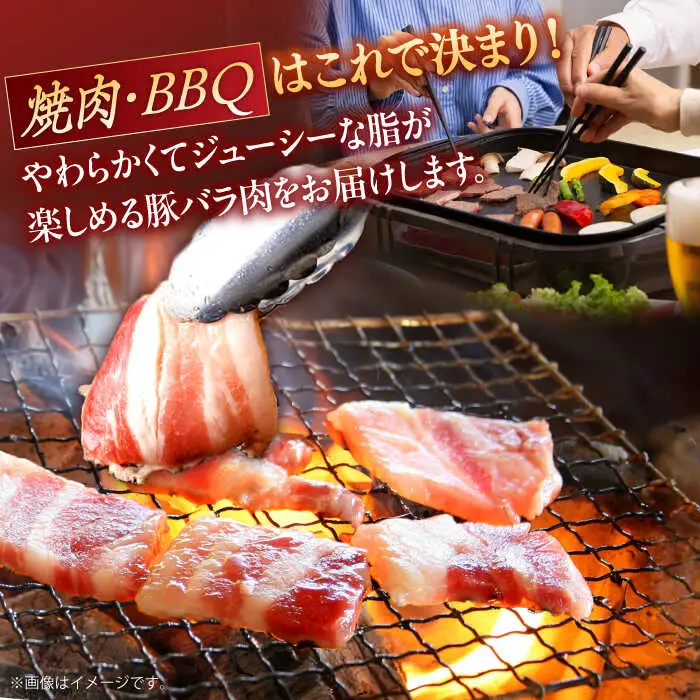 豚肉 焼肉用 計600g NAC501 豚肉