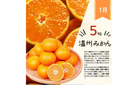 定期便 【全3回】フルーツ定期便  みかん 清見オレンジ 桃 【tkb381】