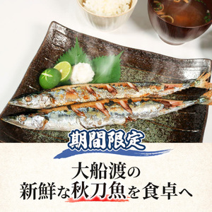 訳あり 鮮さんま 約2kg 冷蔵