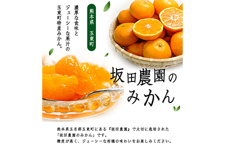 先行予約 みかん 約10kg 坂田農園 みかん