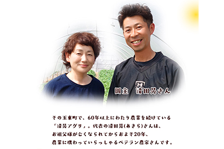 【ご家庭用】『清晃アグリ』のご家庭用みかん★約4kg(2S-2Lサイズ)《11月中旬-12月末頃出荷》