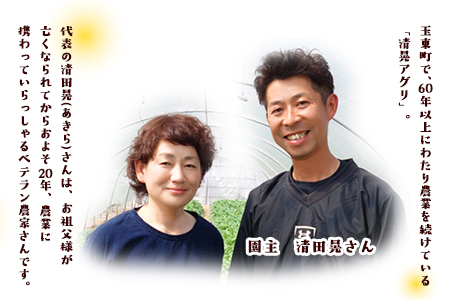 『清晃アグリ』のみかん★約4kg(2S-2Lサイズ) 《11月中旬-12月末頃出荷》