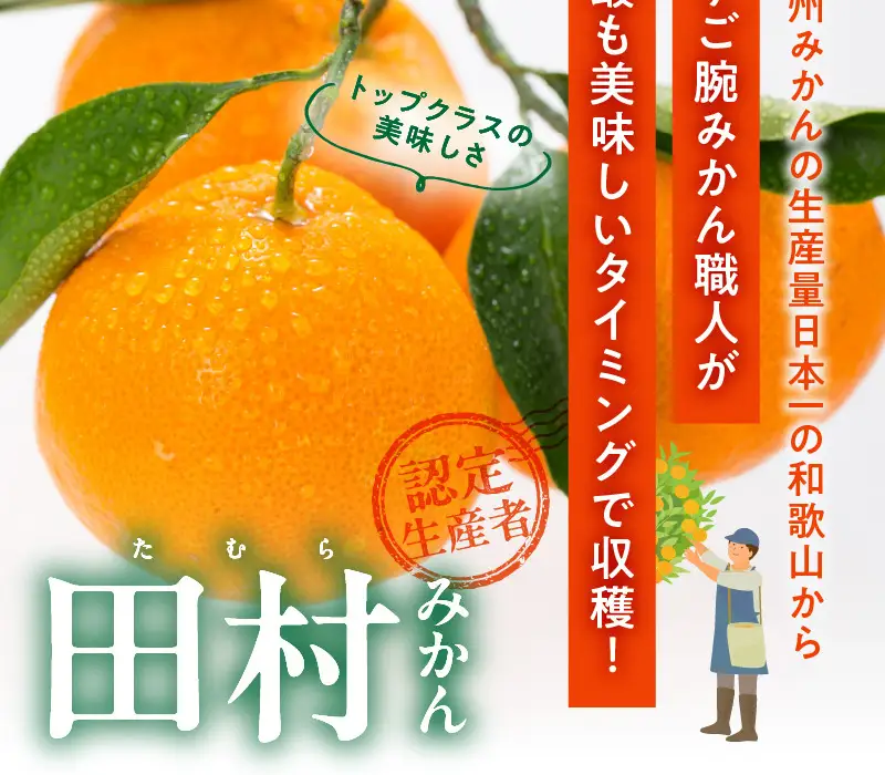 【2026年先行予約】田村みかん／4kg秀品 【サイズ指定なし】_V7453