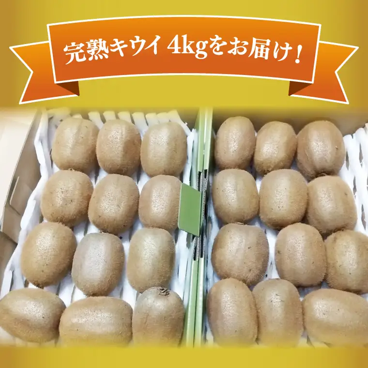 【先行予約】【12月上旬より発送開始】春日部完熟キウイ4kg【埼玉県 春日部市 キウイ キウイフルーツ 4kg 完熟 国産 フルーツ 果物 ヘイワード】(BG002）