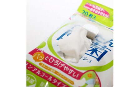 かんたん除菌 ウェットティッシュ ノンアルコールタイプ 20枚入り×3P×3セット(合計9個) 高知県土佐市 【テンポイント株式会社】 [BQBI008]