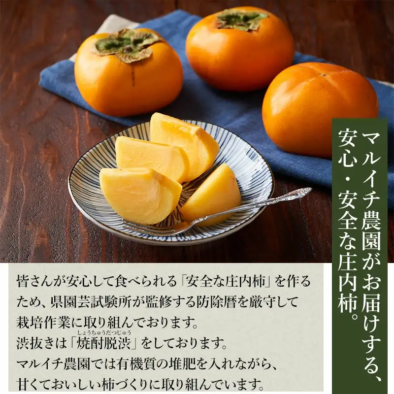 【令和8年産先行予約】庄内柿 Mサイズ以上 5kg マルイチ農園