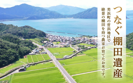 【先行予約】【令和7年産 新米】越地 (こいち) 産 コシヒカリ (玄米) 計5kg 【2025年9月中旬以降順次発送予定】[m24-a009]