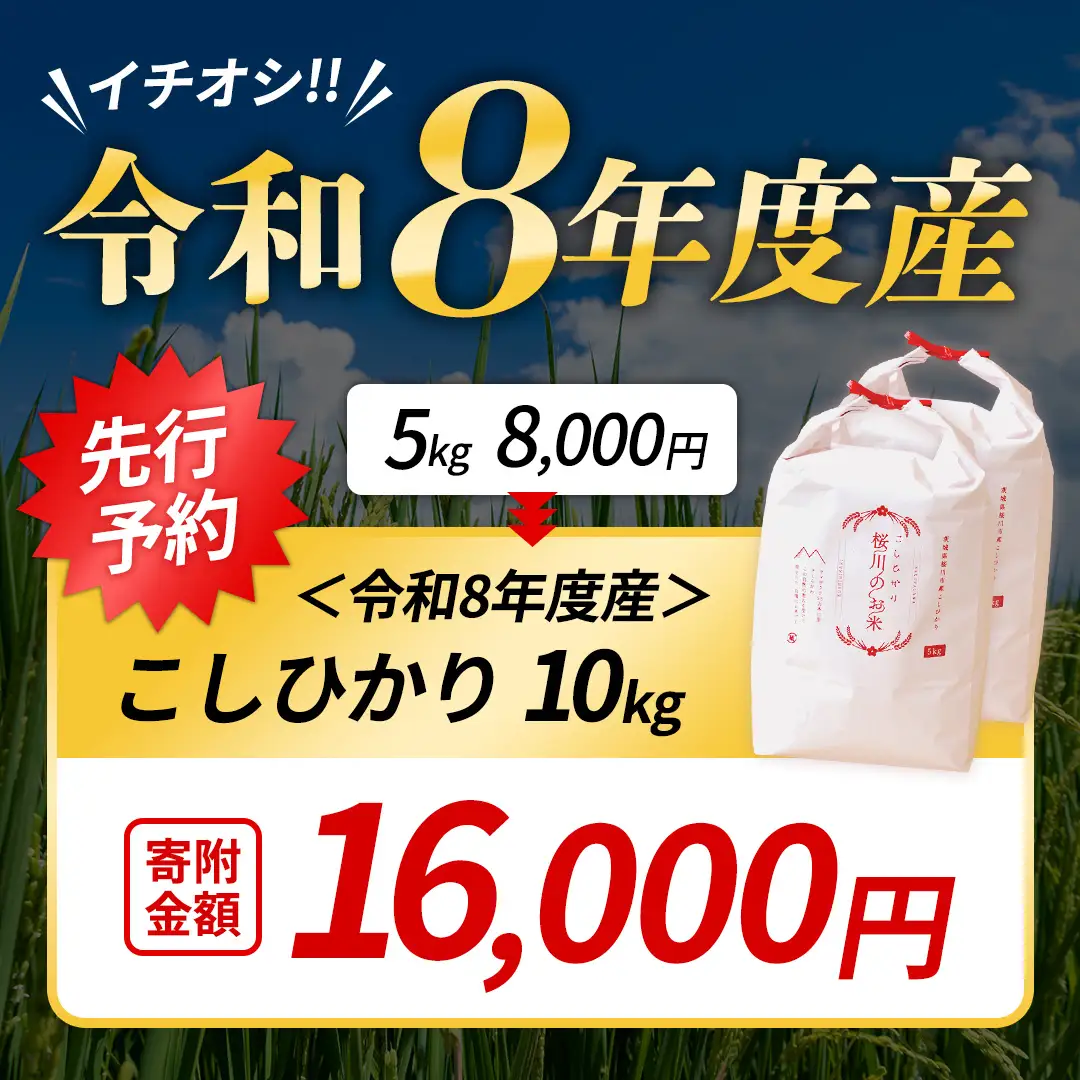 《 令和8年産 》 桜川市産 こしひかり 10kg 新米 先行予約 茨城県 桜川市 米 お米 白米 コメ ごはん 精米 コシヒカリ 国産 限定 銘柄米 [SC050sa]