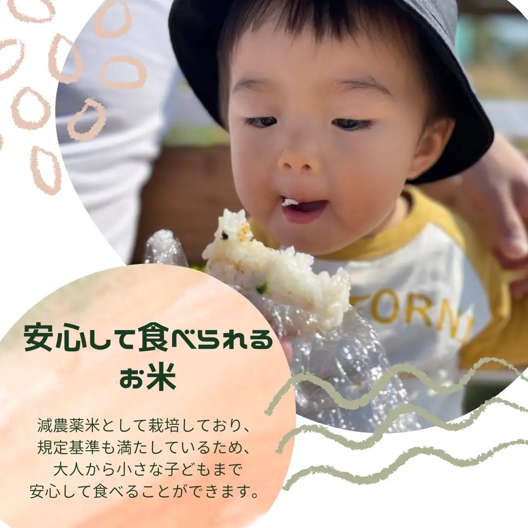 【3回定期便】減農薬 特別栽培米 畑中さん ひのひかり 白米5kg ヒノヒカリ 奈良県