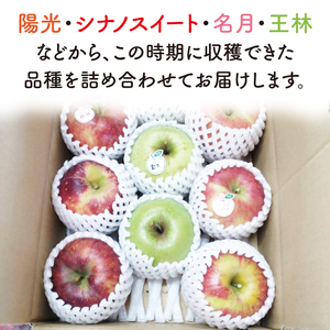 【先行予約・数量限定】三村観光りんご園の奥久慈りんご（各種詰め合わせ）約5kg【10月中旬頃順次発送予定】｜茨城県 大子町 林檎 旬 果物 フルーツ 果実 果汁 ギフト 贈答（BX002-1）