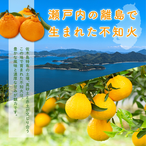 【先行受付】＜訳あり＞瀬戸内 島の不知火 約5kg 白鷺農園《2027年2月下旬～4月上旬頃出荷》 デコポン と同品種  旬 柑橘 フルーツ 果物 しらぬい デコポン わけあり 規格外 不知火 164003