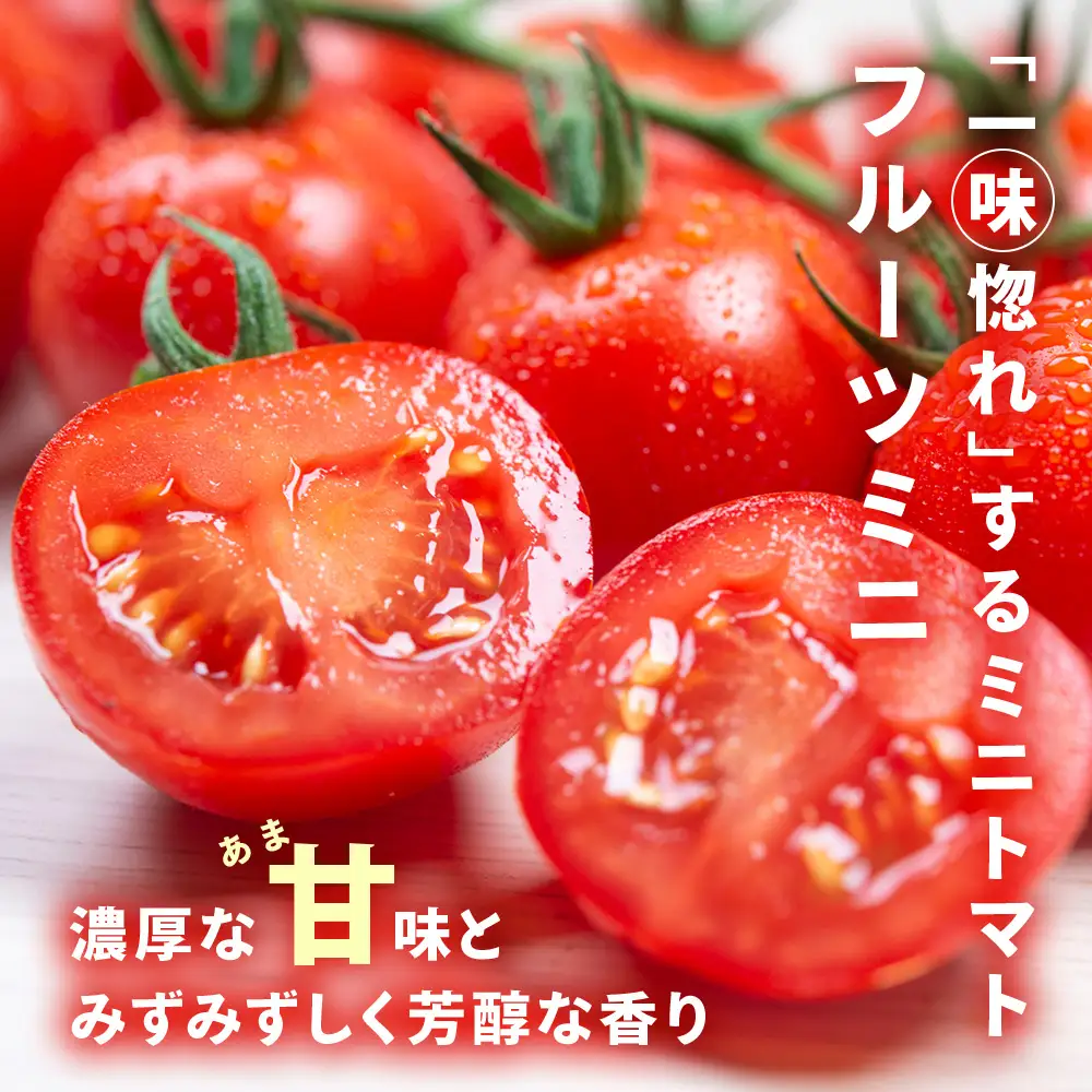 【2027年先行予約】 【朝採れ最短発送！】フルーツミニ ミニトマト1kg