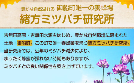 蜂蜜純粋はちみつ600g御船町観光協会《30日以内に出荷予定(土日祝除く)》