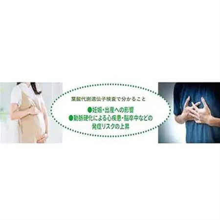 葉酸代謝遺伝子検査キット【1533148】