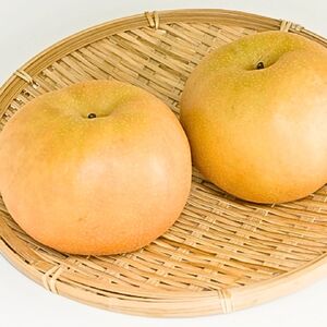 【南信州高森産】梨界の甘さ番長 南水3kg 