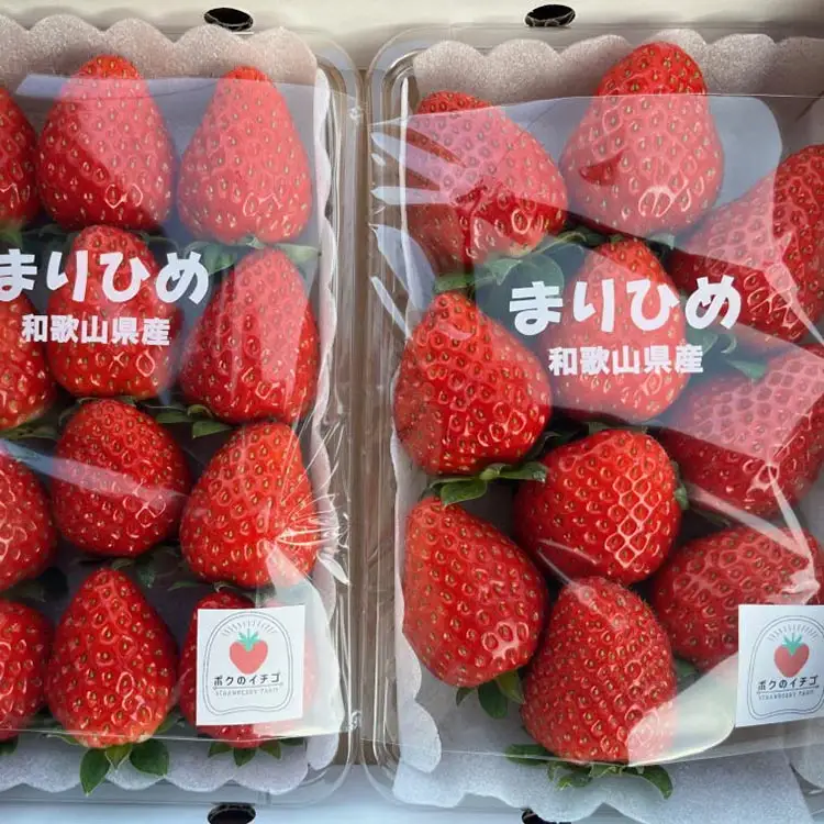 【5月発送】和歌山県産ブランドいちご「まりひめ」300g×2パック入り