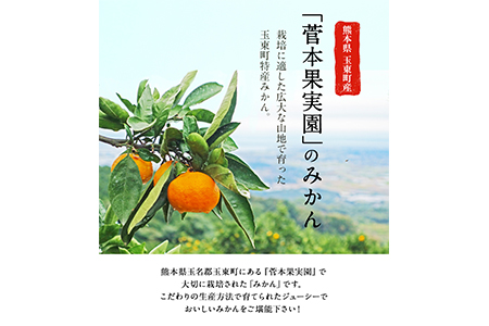 みかん 約5kg(2S-Lサイズ)《11月中旬-1月中旬頃出荷》 【日付指定不可】 菅本果実園