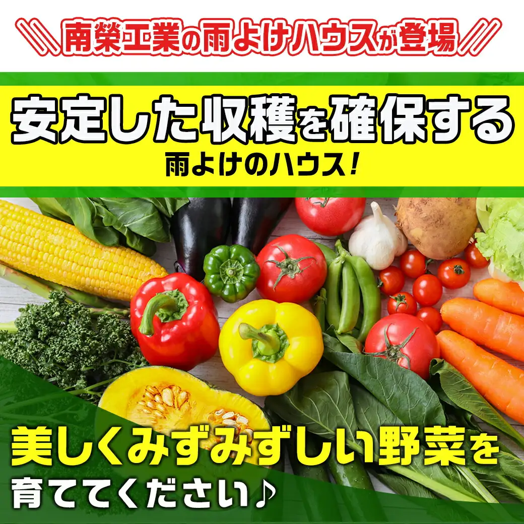 雨よけハウス【2畝用】〈AM-2253〉〔MB-J403〕_(都城市) 雨よけハウス 敏感 夏物野菜を守る 収穫を確保 夏野菜 組立簡単 完全組立式 障害や病気対策 2畝用 18株 