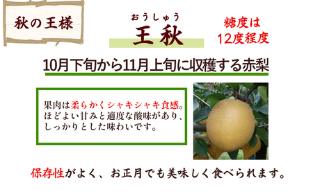 【期間限定】令和8年産 王秋 5kg（5～14玉） 倉吉産 福井果樹園 梨 王秋 ブランド梨 果物 フルーツ 和梨 先行予約 数量限定 詰め合わせ