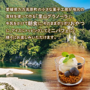 深煎りコーヒーとチョコレートのグラノーラ（150g×1袋）｜朝食 グルメ お取り寄せ ギフト 手作り 健康 オートミール 愛媛 久万高原