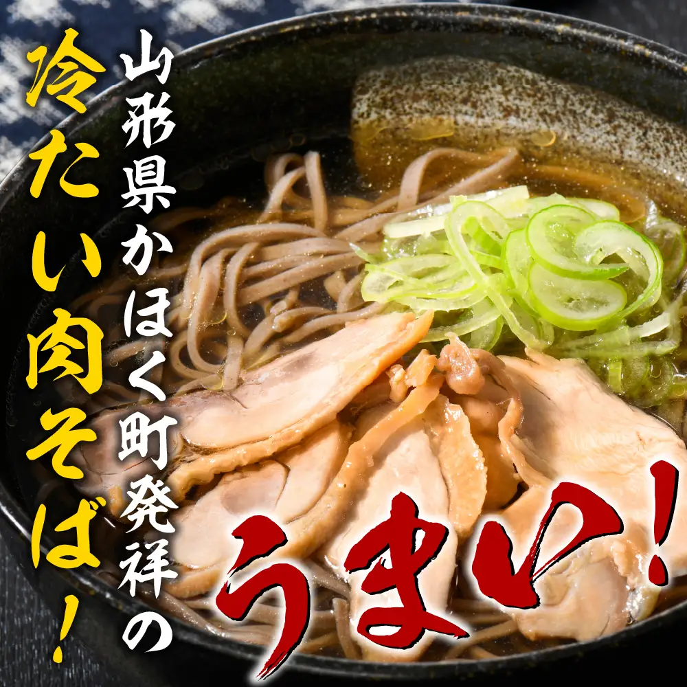 肉そば かほく冷たい肉そば 10食セット 山形 肉そば
