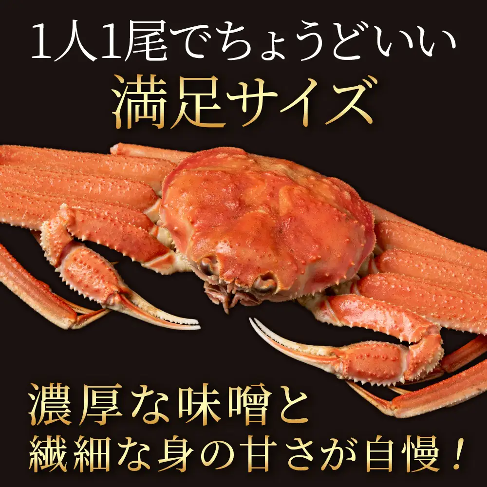 北海道産 オオズワイガニ 300g～350g ×2尾 ＜斉藤水産＞ AM113