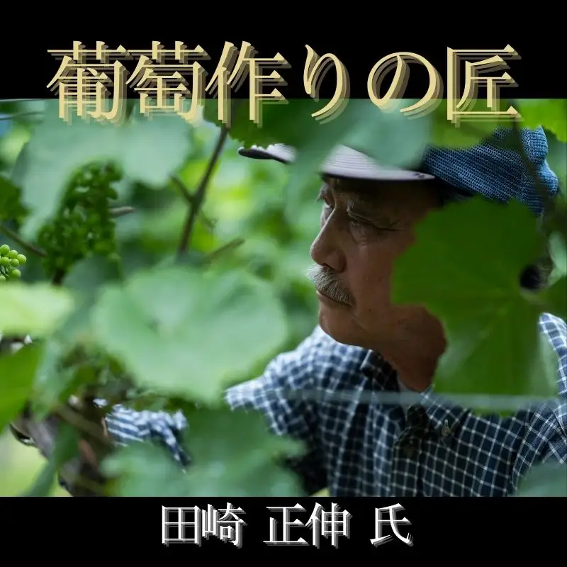 余市「葡萄作りの匠」ワイン 3本 セット 赤ワイン 白ワイン 辛口 ミディアム 田崎正伸 北島秀樹  宍戸富二  アルコール ギフト プレゼント 誕生日 手土産 父の日 敬老の日 家飲み 家族 国産お取り寄せ 北海道 余市町_Y034-0090