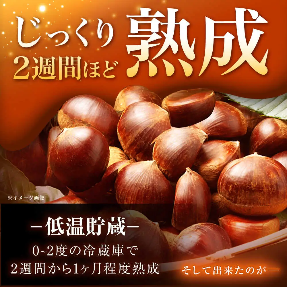 【先行予約】おやすみ栗（マロン）1kg（2Lサイズ） / 恵那市 / えな笠置山栗園 [AUAV004]