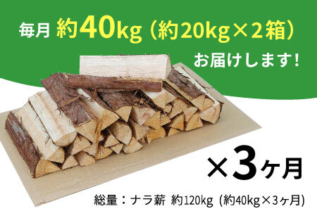 【3ヶ月定期便】なら薪 中～大割 約40kg ( 約20kg×2箱 ) 計120kg 3回 3ヶ月 中割 大割 薪ストーブ アウトドア キャンプ 焚火 暖炉 楢 ナラ 薪 まき 雑貨 日用品 定期便 定期 選べる 発送月 毎月届く 森林 木 木材 東白川村 54000円