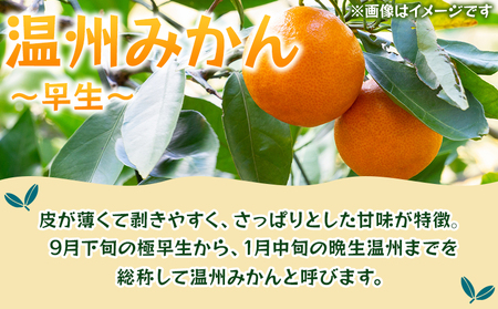 ＜温州みかん（早生）約10kg＞ 果物 フルーツ みかん ミカン 蜜柑 オレンジ 柑橘 うんしゅうみかん ウンシュウミカン わせ ワセ 食べて応援 特産品 JA えひめ南農業協同組合 愛媛県 西予市【常温】『2025年10月下旬から11月下旬迄に順次出荷予定』OEM0005