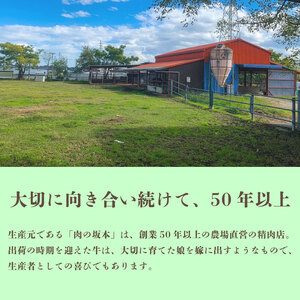 牛肉 1kg 切り落とし 特選 国産牛 【 牛肉 】