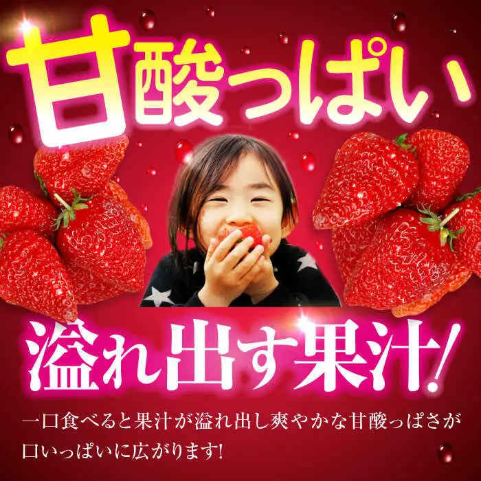 いちご 2パック（紅ほっぺ）いちご[AGAR002]