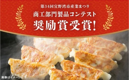 かめかめ島餃子 (豚肉/にんにくあり・なし) 30個 × 2袋 | 包みたて 工場直売 餃子 シママース | 簡単調理 手軽 | 豚肉 出汁 沖縄 お取り寄せ グルメ 冷凍