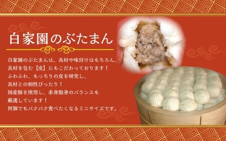 【詰め合わせ】ぶたまん20個×焼餃子10個×焼小籠包8個 中華 豚まん 餃子 ぎょうざ ギョーザ 小籠包 惣菜