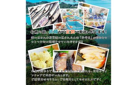 海鮮三昧 ひものセット ／ 干物 魚介 海鮮 魚 おつまみ 肴 セット ふぐ フグ 連子鯛 タイ かます あじ 鯵 ぶり 鰤 いかしゅうまい 長崎県 長崎市