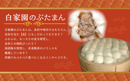 長崎ぶたまん 40個 豚まん ぶたまん 肉 豚肉 中華 中華料理 中華まん 惣菜 冷凍