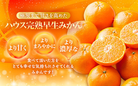 先行予約 ハウス完熟早生みかん 約5キロ箱 ／ フルーツ 果物 くだもの 柑橘 蜜柑 ミカン 野中果樹園 長崎県 長崎市 オンライン決済限定 アフター保証【2027年1月発送予定】